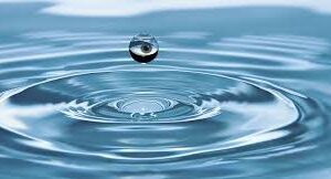 dementia's ripple effect
